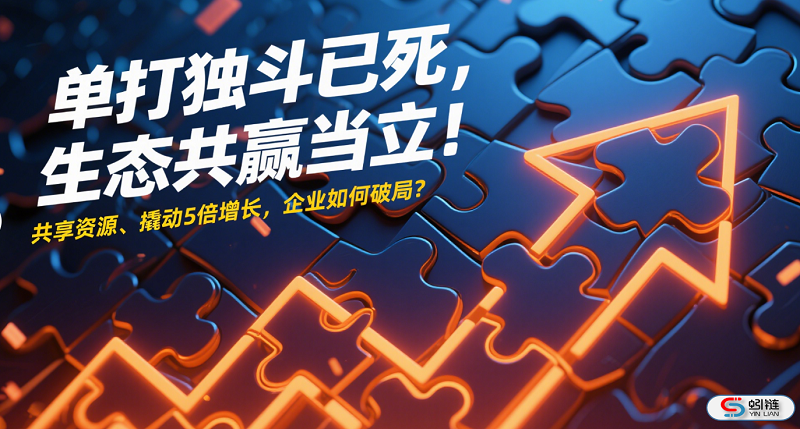 企业如何通过数字化转型实现五倍业绩增长？