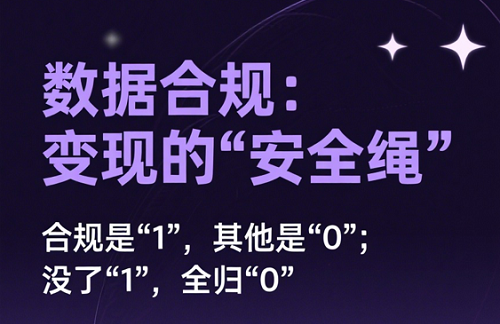 隐私保护+权属清晰：数据资产“变现”的前提是“不踩雷”​